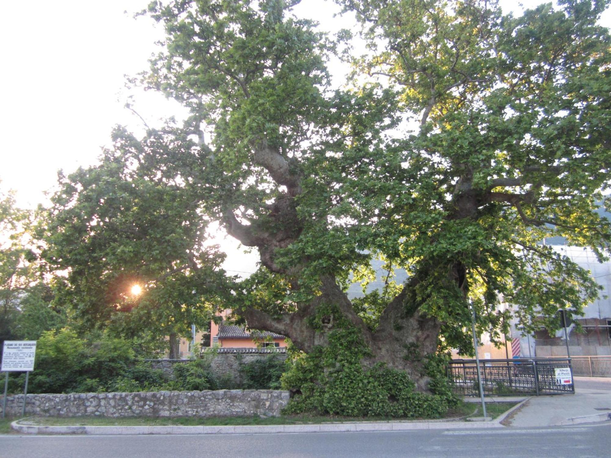 Albergo Al Platano Caprino Veronese Exterior photo