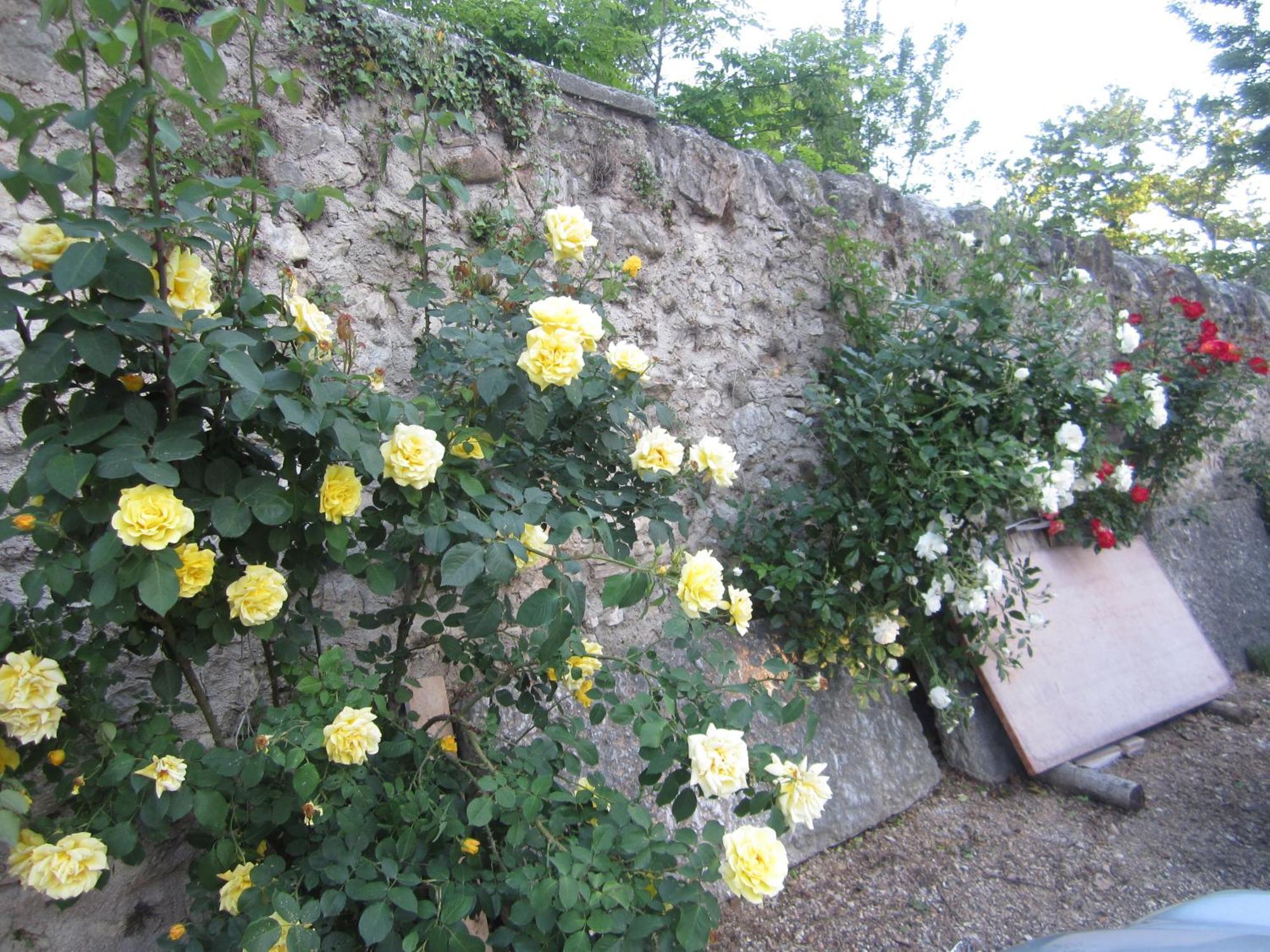 Albergo Al Platano Caprino Veronese Exterior photo